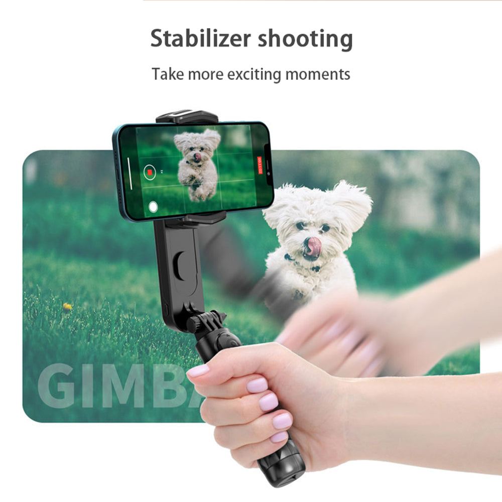 Selfie Stick Bluetooth Techsuit Q09, Universal, Schwarz