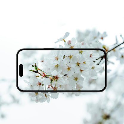Schutzfolie Anank AR für die Rückkamera des Apple iPhone 17 Air, gehärtetes Glas, Mehrfarbig