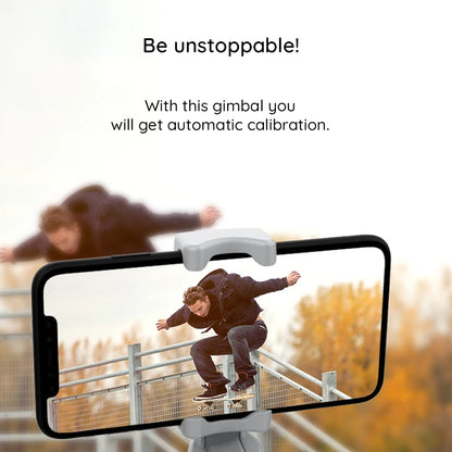 Gimbal Stabilisator Techsuit SK062, Grau