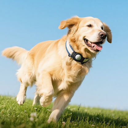 HOCO SmartTag E91C for iOS Series, White