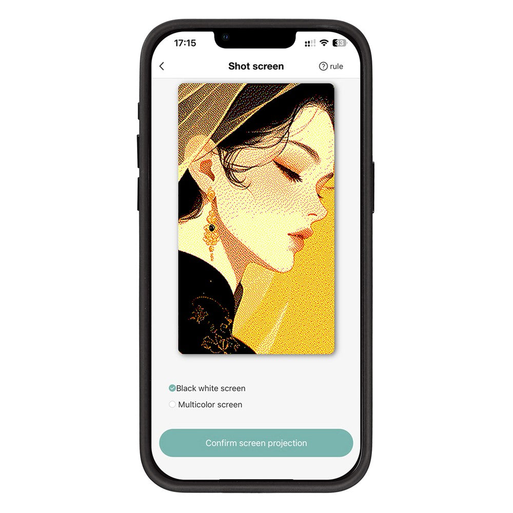 Hülle für Apple iPhone 14 Pro, OEM, Display Customized E-Ink, Schwarz